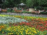 Il parco è pieno dei fiori variegati